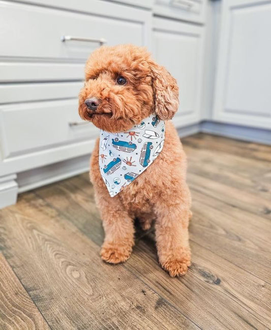 Bandana | Beach Dayz